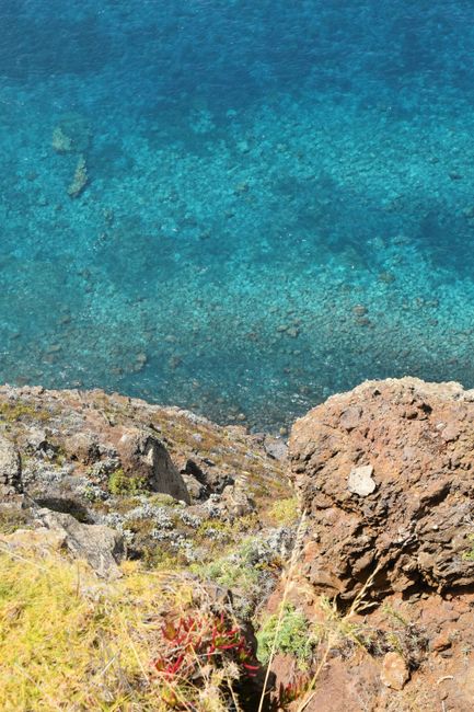 Steep rocky cliff with succulents overlooking clear blue water in Îles Éoliennes