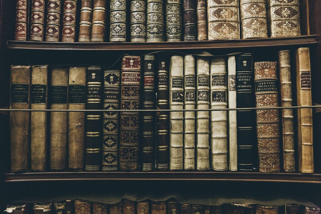 Rayonnage de vieux livres reliés en cuir dans une librairie ancienne