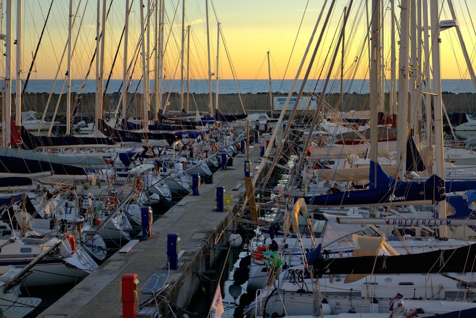 Sailboats moored at Ravenna marina during golden sunset