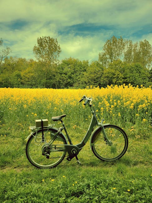 Green bicycle parked by yellow rapeseed field near Modena