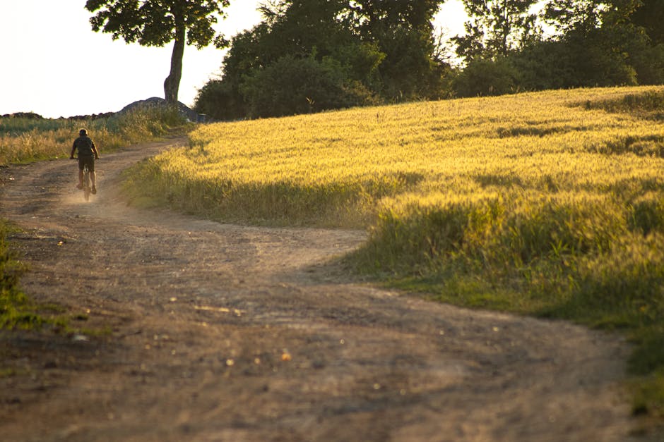 Cyclist kicking up dust on a golden field path near Modena