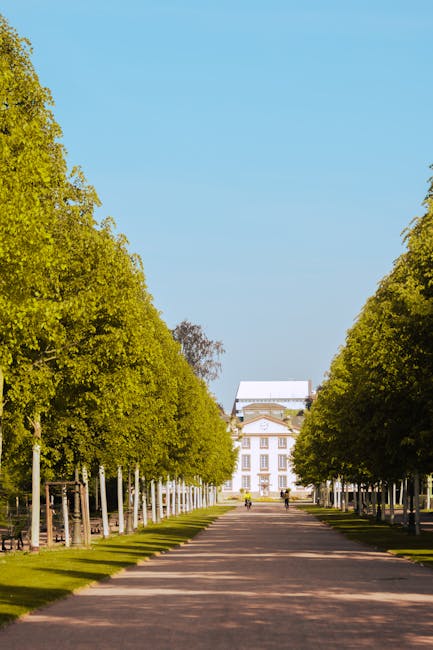 Allée bordée d'arbres avec deux cyclistes et bâtiment lointain