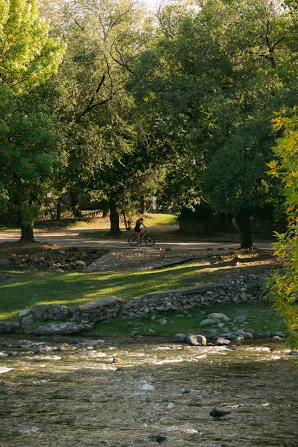 Cycliste pédalant le long d'un ruisseau dans un parc urbain de Modène