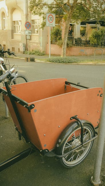 Cargo-bike assicurato con lucchetti