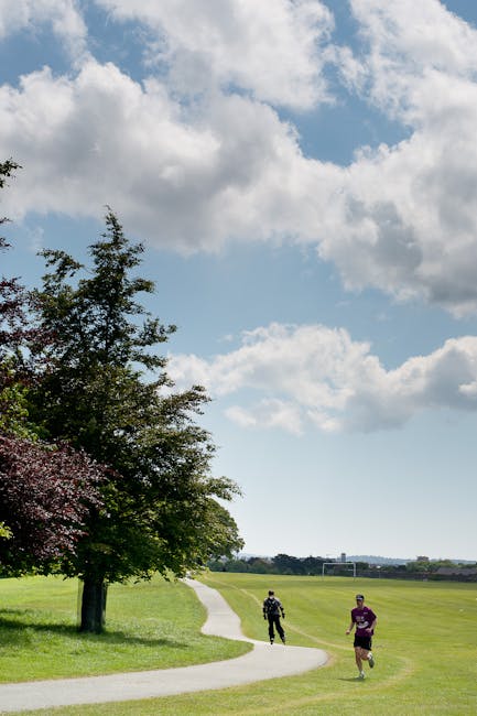 Sentiero erboso con corridori e grandi alberi in un parco di Modena