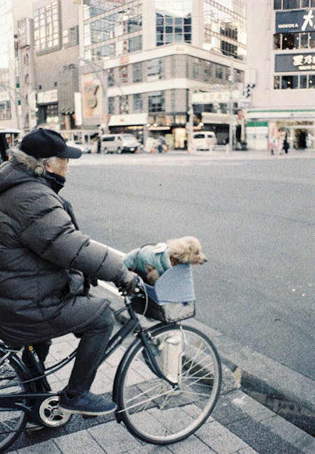 Cyclist packing gear with their dog before a ride