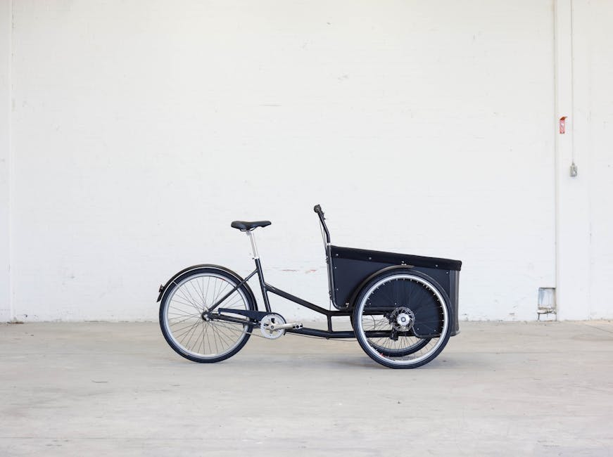 Cargo-bike alla sera a Modena