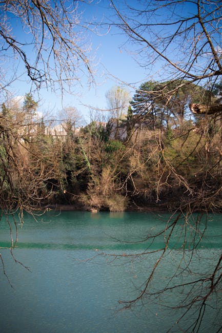 Turquoise river framed by leafless trees at Modena park