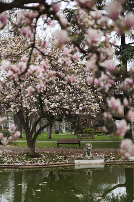 Magnolia trees in a Modena park framing a pond and bench