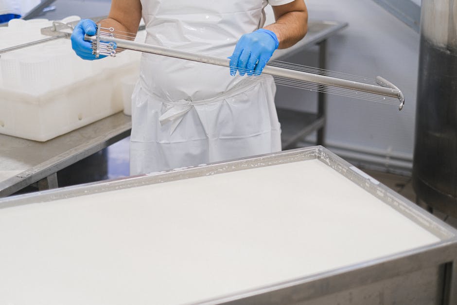 Kaasmaker snijdt wrongel met draad in kaasfabriek bij Modena