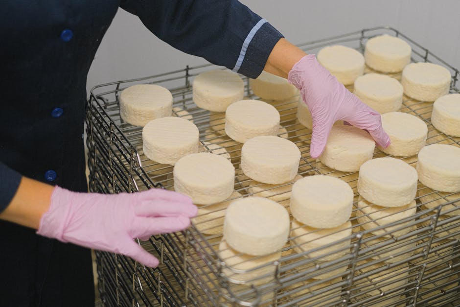 Caseificio di campagna e produttore di formaggio