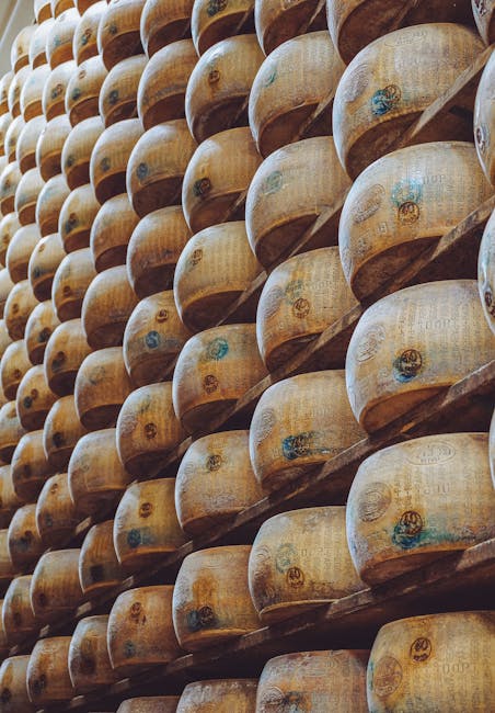 Rangées de meules de Parmigiano-Reggiano empilées dans une cave d'affinage à Modène