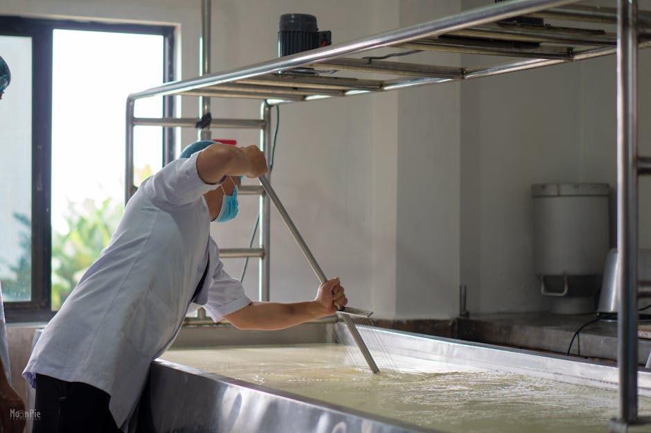 Caldaie di rame e ambiente di caseificazione a Fiorano Modenese
