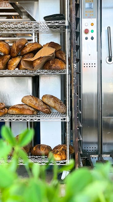 Racks of freshly baked bread loaves at a Modena bakery window.