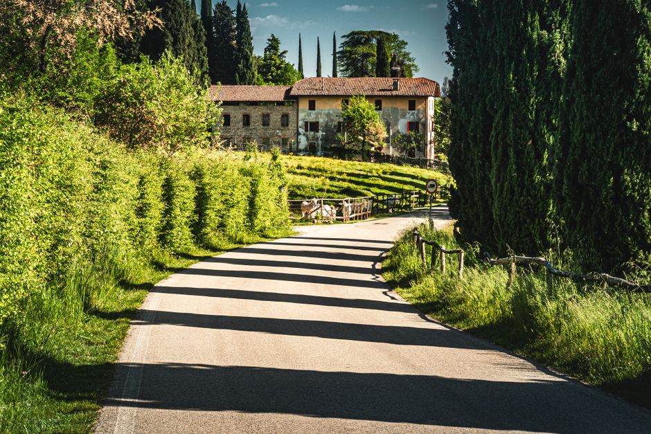 Villa di campagna con degustazione e pranzo nella zona di Modena
