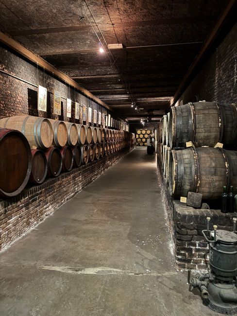 Barili storici di aceto nella cantina Giusti a Modena