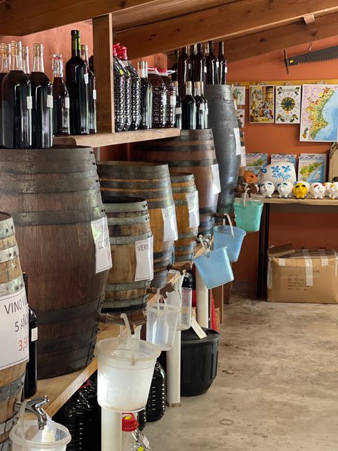 Piccola cantina familiare Pedroni a Vignola con botti