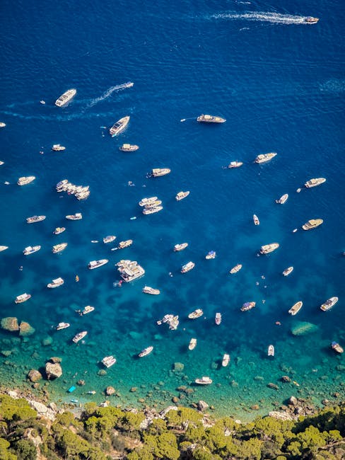 Boat excursion in Capri's clear waters