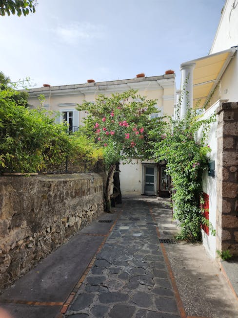 Steeg met stenen bestrating en bloeiende struik in Capri