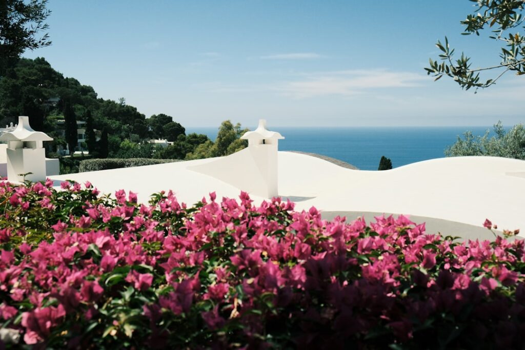 Bougainvillee fucsia in primo piano e tetti bianchi con vista mare a Capri