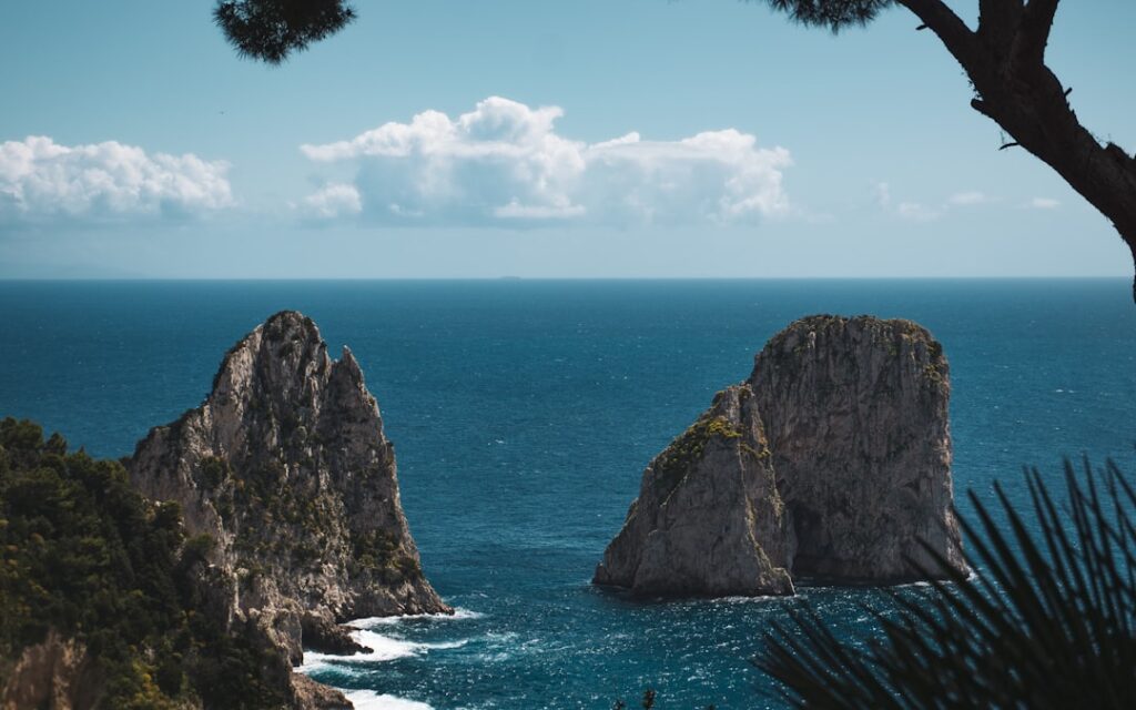 Faraglioni sea stacks framed by pine branches off Capri shore
