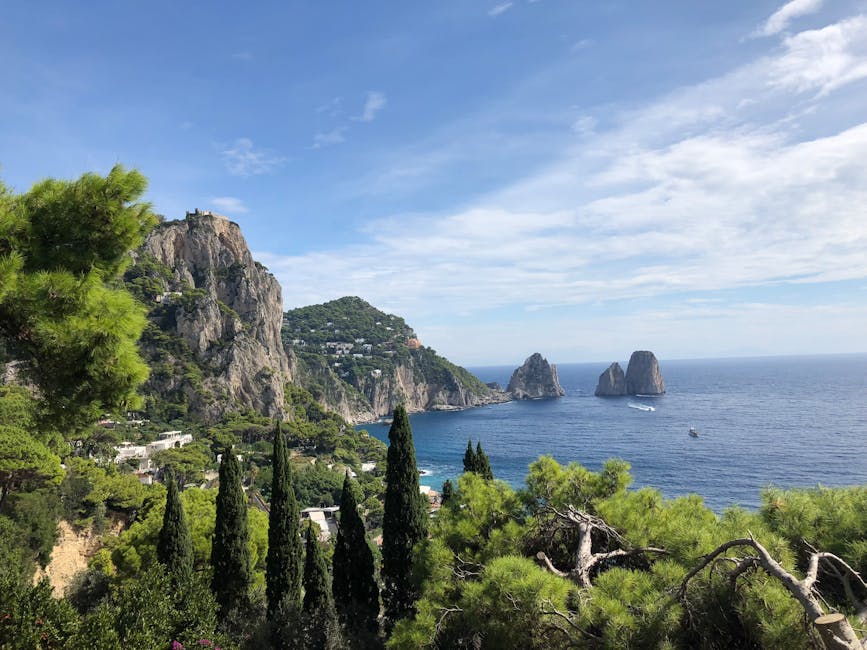 View from Capri hillside with cypress trees and Faraglioni rocks