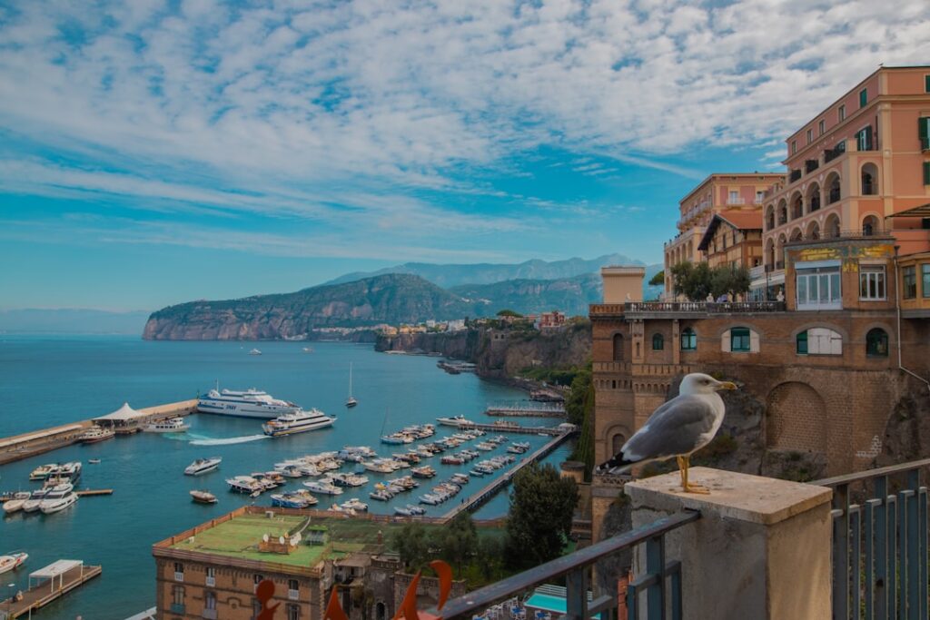 Mouette perchée sur un balcon, vue sur le port de Capri et yachts