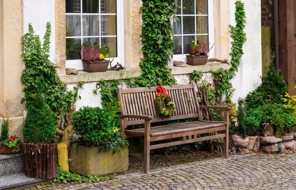 Banc en bois devant une façade couverte de lierre et de pots