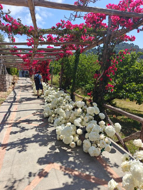 Close-up van mediterrane bloemen en bougainville op een pad in Capri