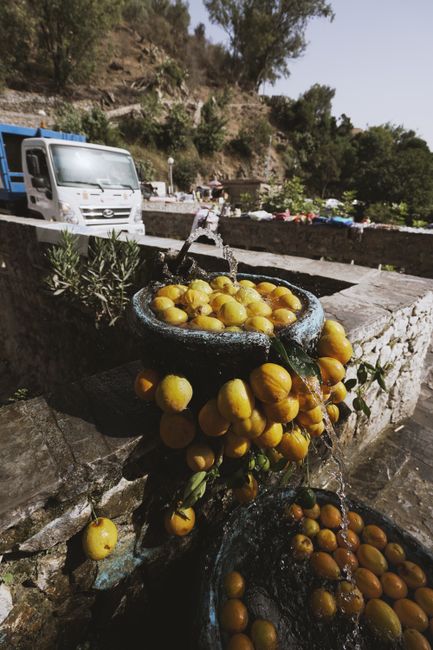 Traditioneel dorpsstraatje met molens en citrusgaarden in Anacapri