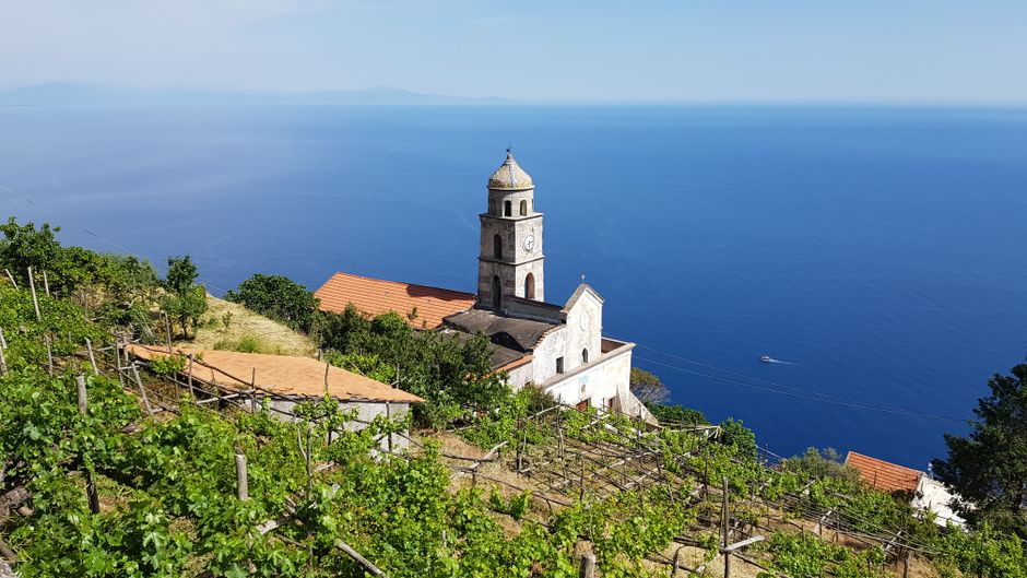 Kirche mit Glockenturm und Weinbergen über dem blauen Meer von Capri
