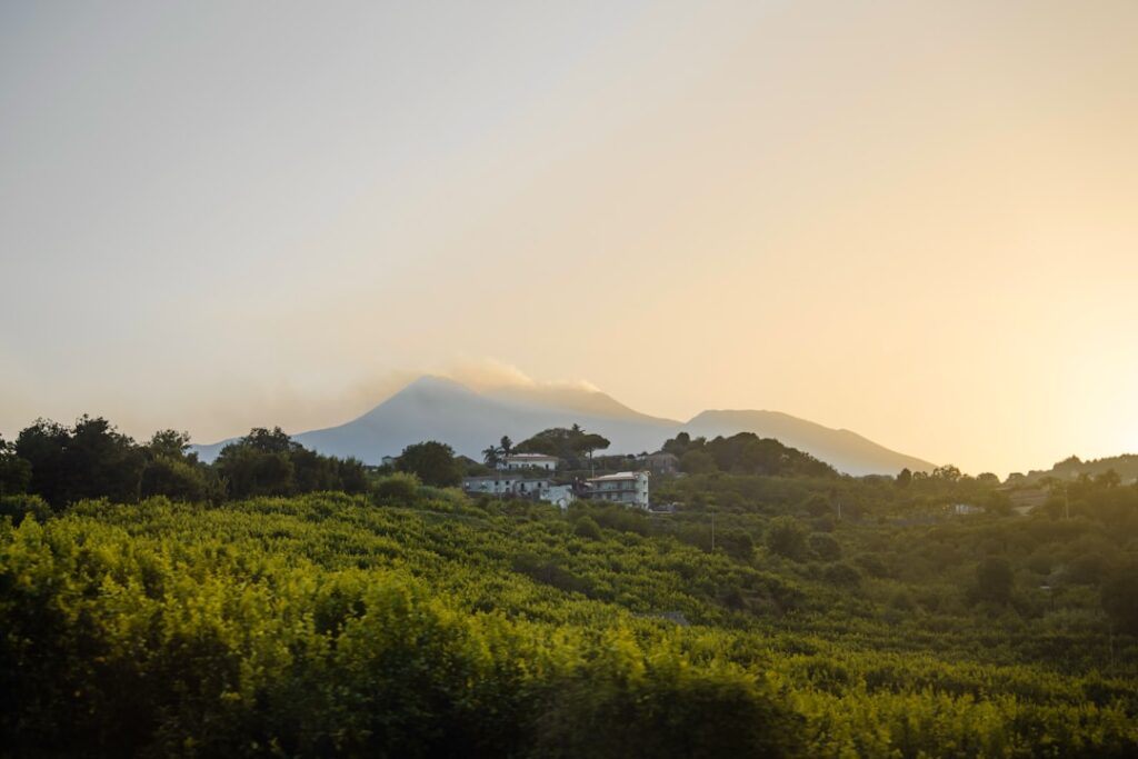 Sunset view of Mount Etna above green orchards in Sicily