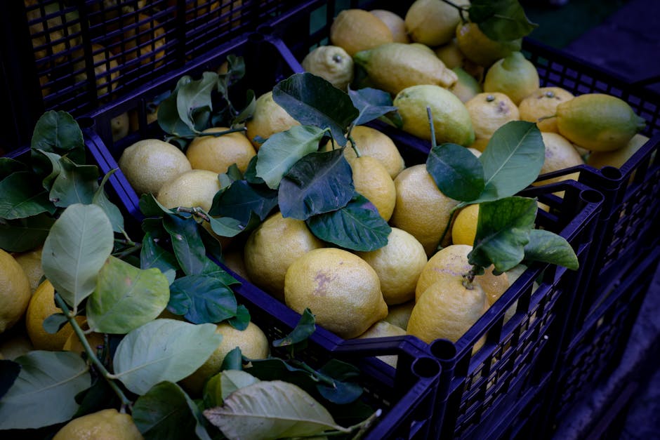 Crates of yellow lemons with green leaves at Sicilian market