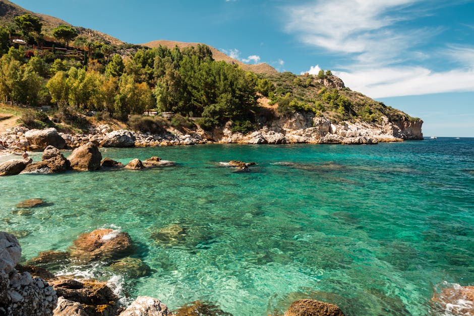 Crystal turquoise water and rocky shoreline beneath Sicilian pine trees