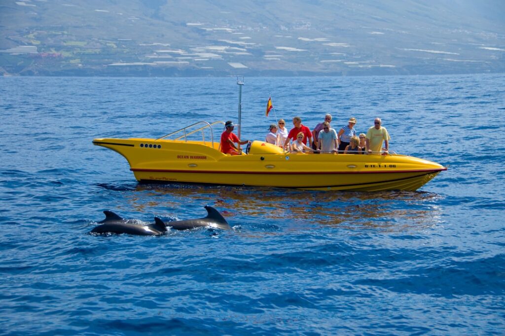 Gommone giallo con turisti e delfini che nuotano vicino, coste siciliane