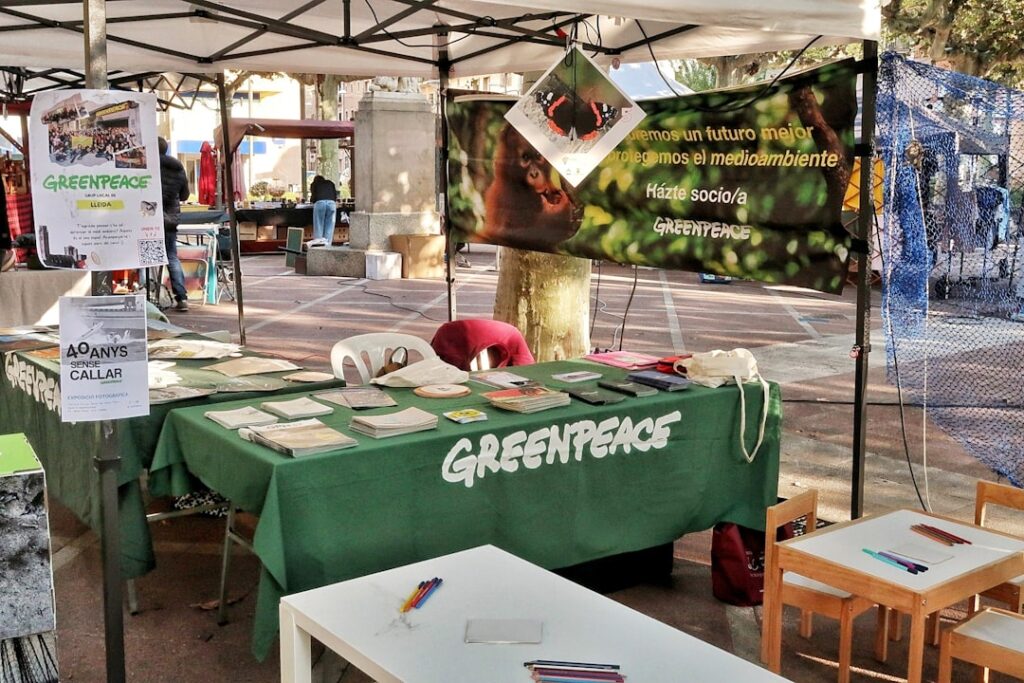 Bancarella di souvenir eco-sostenibili: i proventi sostengono progetti di conservazione