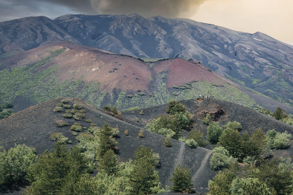 Vulkanische Lavahügel und Vegetation am Ätna in Sizilien