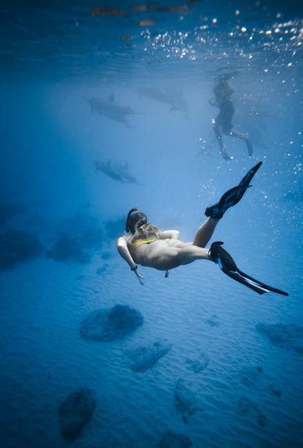 Sub che osserva delfini dall'acqua del Mediterraneo limpido