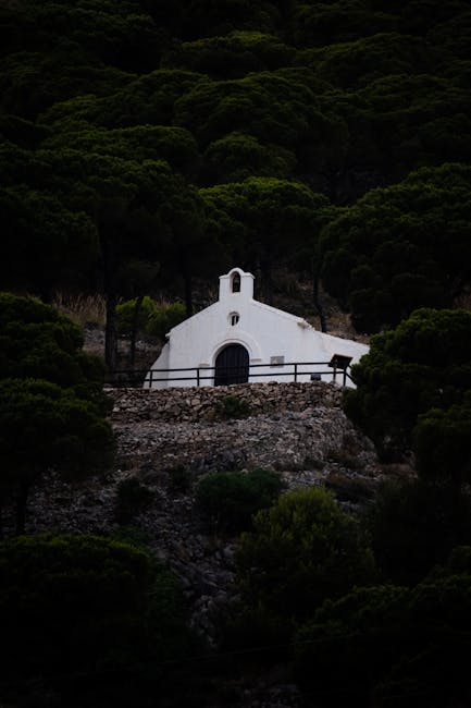 White hilltop chapel framed by dense pines in Sicily