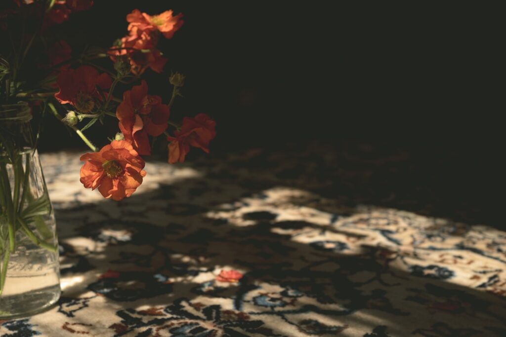 Vase transparent contenant fleurs orange, ombres projetées sur tapis