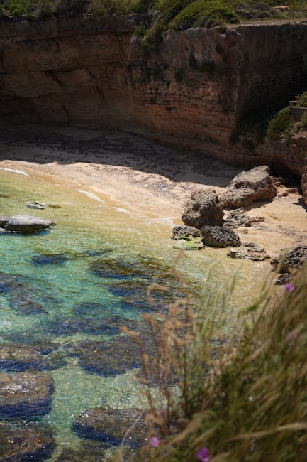 Caletta rocciosa con acqua turchese e fiori selvatici, Plemmirio Sicilia