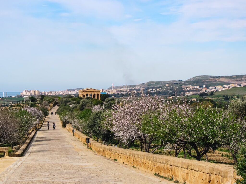 Promenade mit blühenden Mandelbäumen und Tempel in der Ferne, Sizilien