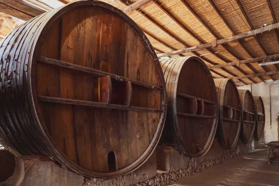 Grandi botti di legno allineate nella cantina di una masseria siciliana