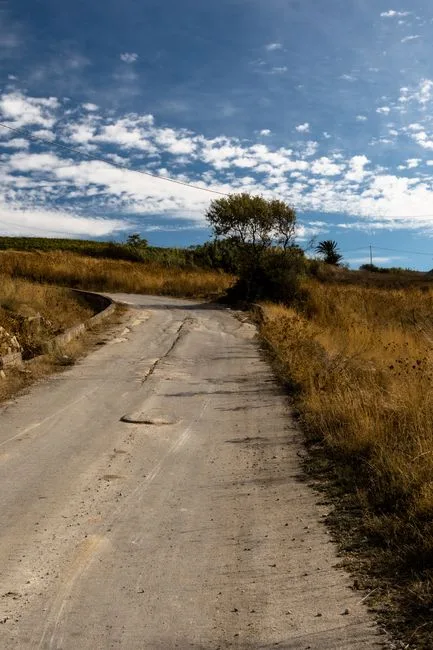 Route étroite campagnarde bordée d'herbes sèches, paysage rural sicilien