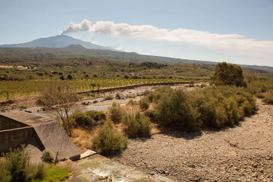 Vigneti davanti al monte Etna fumante e letto di fiume in Sicilia