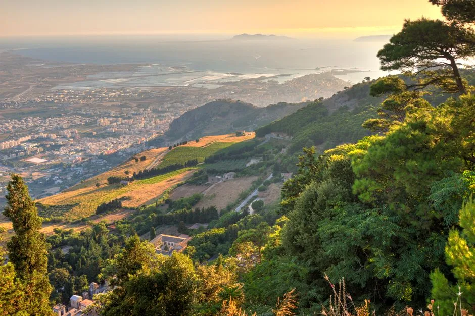 Veduta panoramica dei vigneti terrazzati verso il mare e la città siciliana