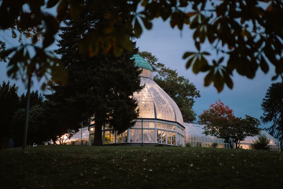 Giardino botanico illuminato di notte con giochi di luce