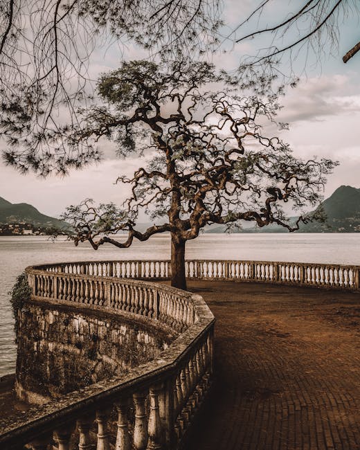 Passeggiata serale a Stresa