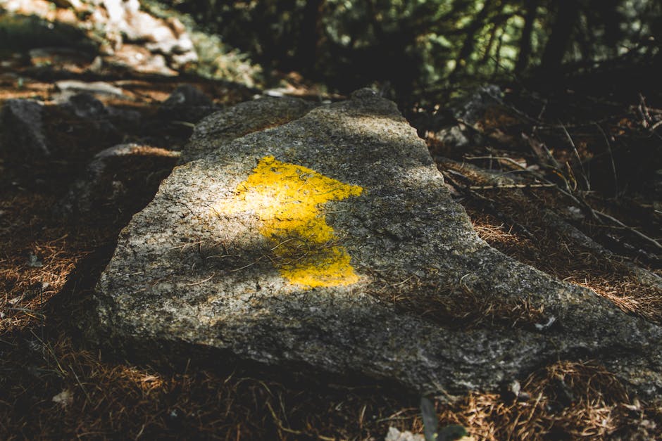 Flèche de peinture jaune indiquant le sentier sur une roche