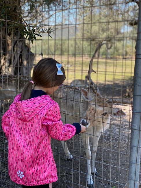 Enfant en veste rose donnant à manger à un daim au Lac Majeur